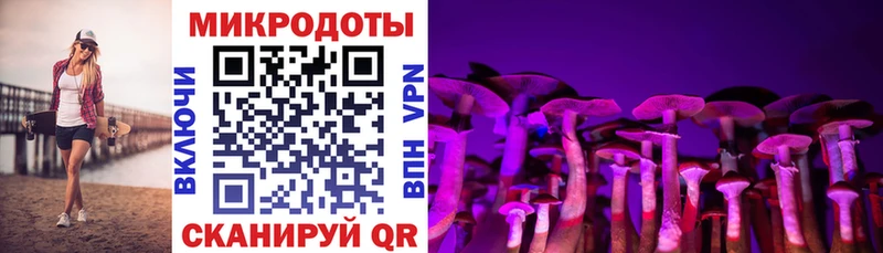 mega tor  Сясьстрой  Псилоцибиновые грибы мицелий  купить наркотик 